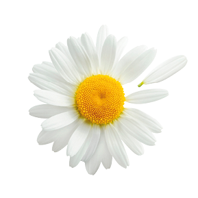 Wirksam